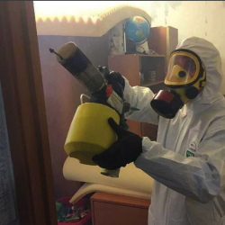 Уничтожение клопов в квартире. Тулун